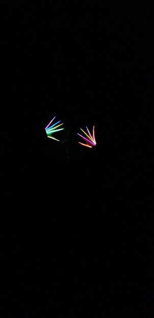 IMG-20210829-WA0014 - Florile mele 2021