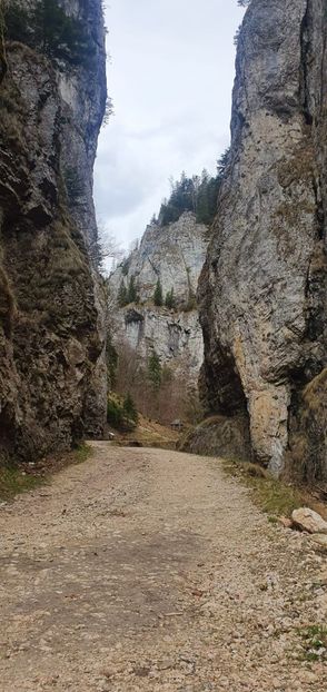 IMG-20210501-WA0012 - Paste 2020 Moeciu