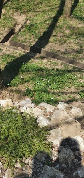 IMG-20210430-WA0017 - Paste 2020 Moeciu