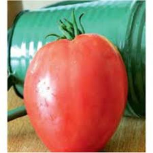  - SEMINTE ROSII - SWEETHEART