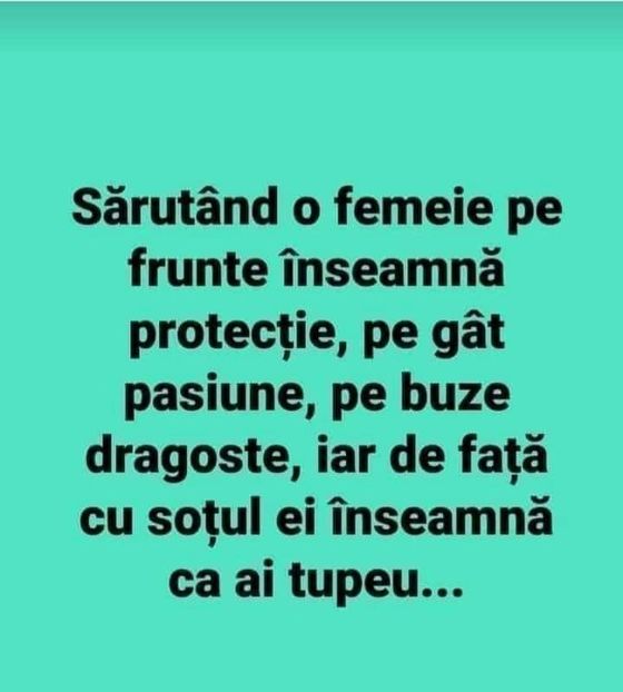  - Divertisment 6