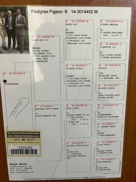 WhatsApp Image 2021-12-17 at 11.57.53 - KLEINE ADONIS - Emiel Denys nepoata PAPA SCHUMI strănepoata 5x3 fiul lui TEE