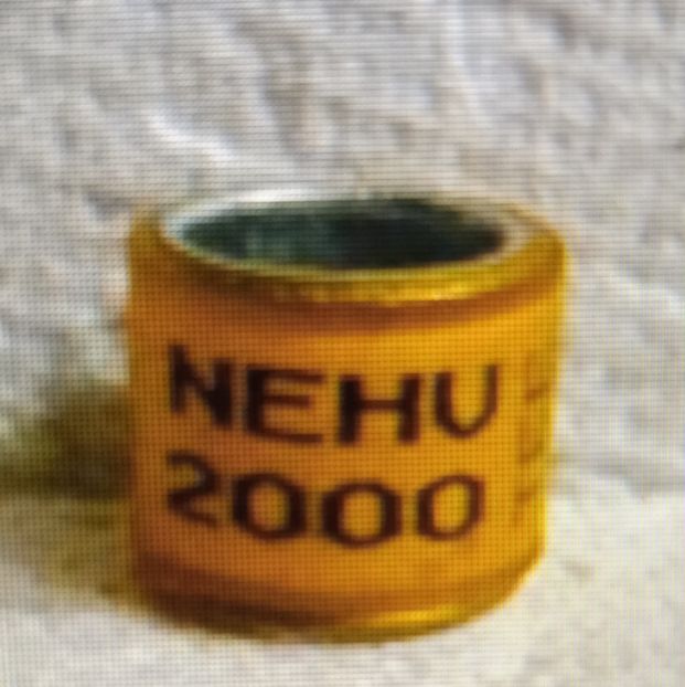 2000-ANGLIA - Anglia-NEHU