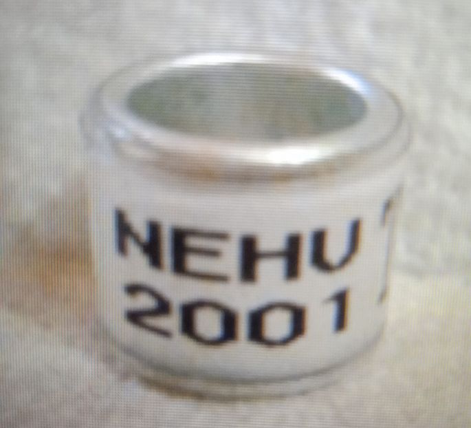 2001-ANGLIA - Anglia-NEHU