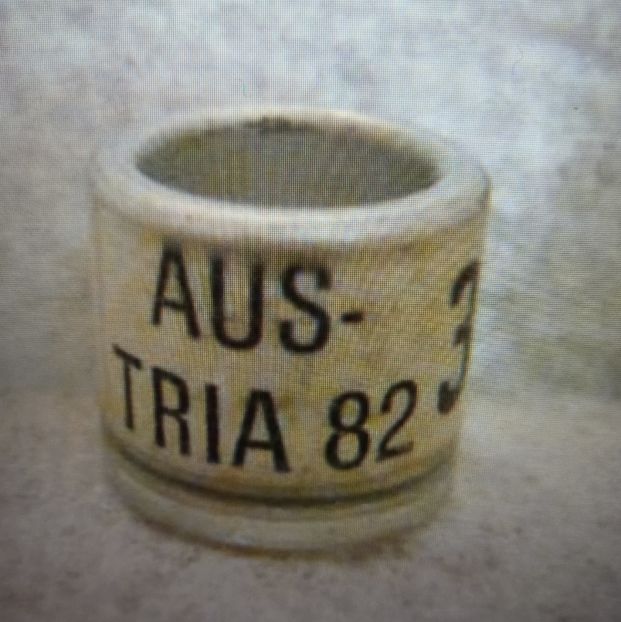 1982-AUSTRIA - Austria