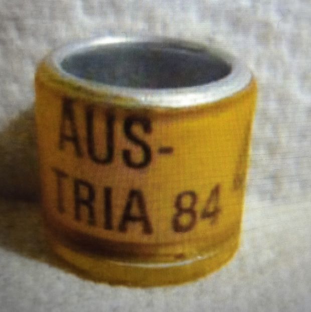 1984-AUSTRIA - Austria