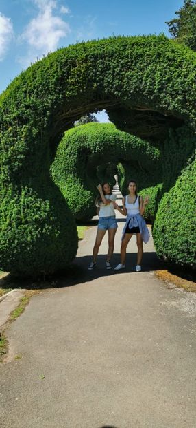 IMG-20190724-WA0019 - cele mai frumoase florii ale mele