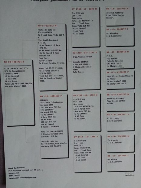 mama la loc 49 - Achiziti 2020-2021