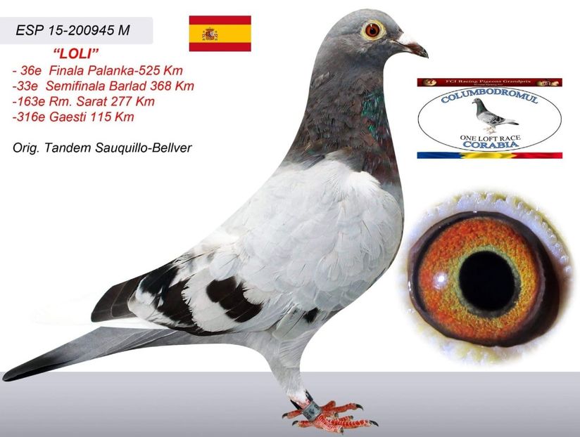 Spania -Fata - Achiziti 2020-2021