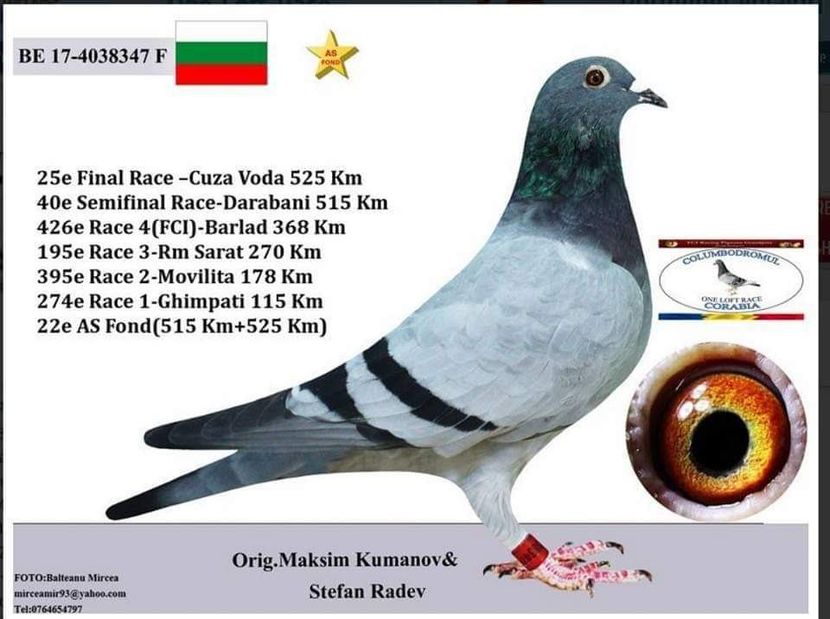 Stefan.Rdev impumut Geo - Achiziti 2020-2021