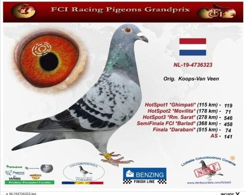 YBZZ6309 - Achiziti 2020-2021