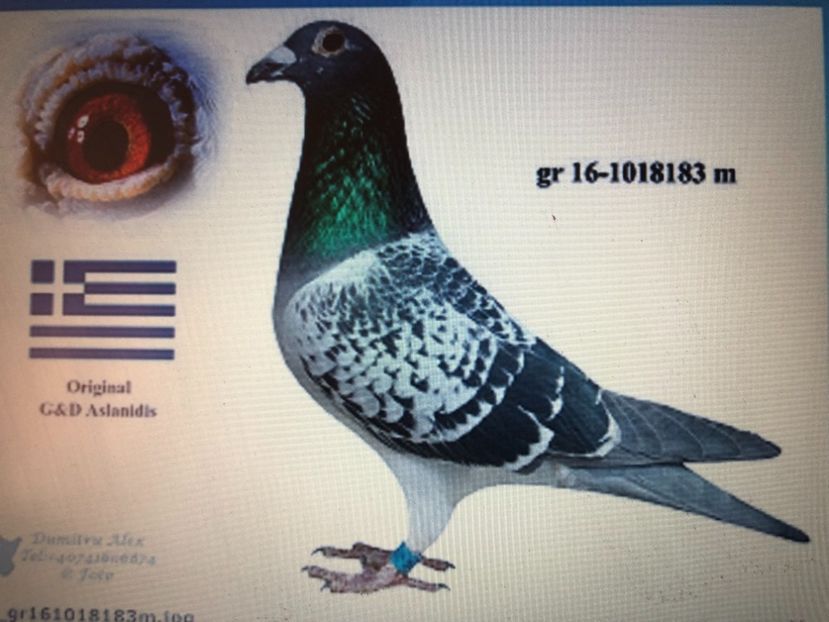  - Achiziti 2020-2021