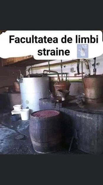  - Bancuri cu Ardeleni