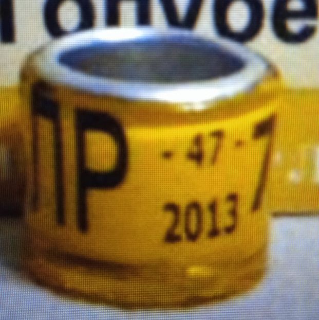 2013-BELARUS - Belarus