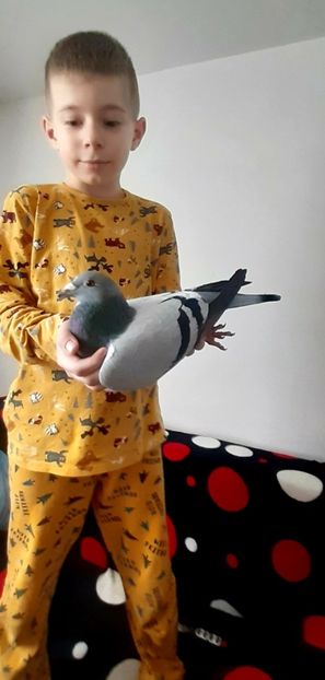 Tandemul  meu  - 3-Rob