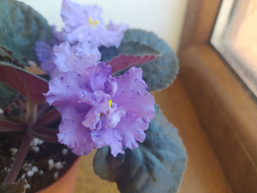 15 ianuarie 2022 - Stormy Weather