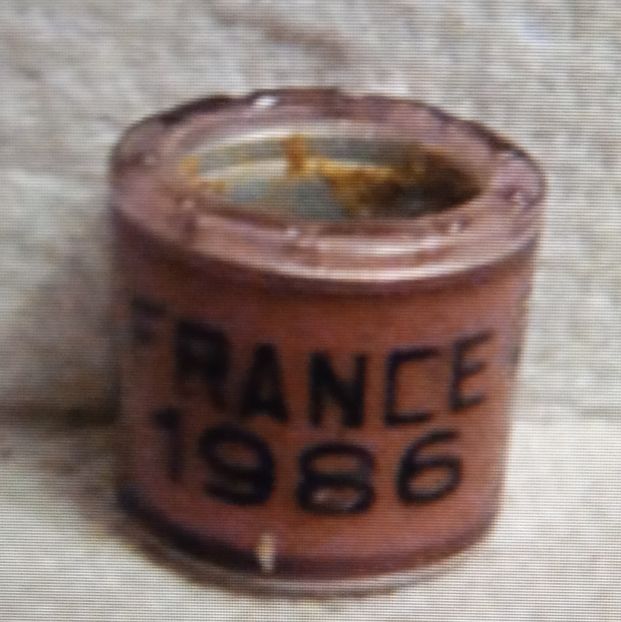 1986-FRANTA - Franta