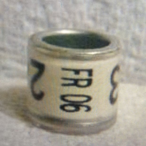 2006-FRANTA - Franta