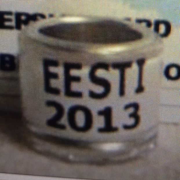 2013-ESTONIA - Estonia