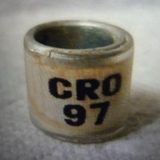 1997-CROATIA - Croatia