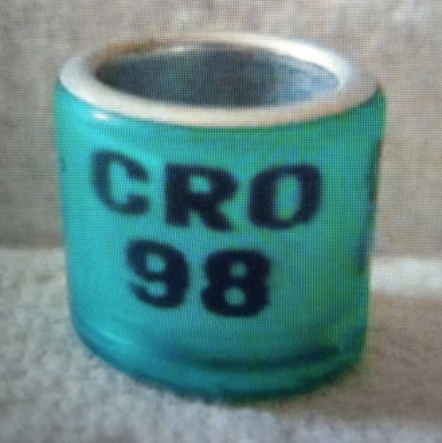 1998-CROATIA - Croatia