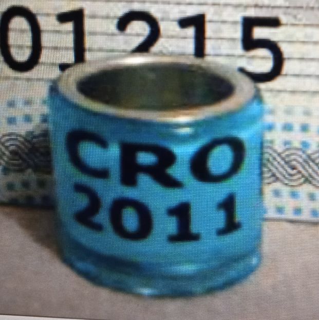 2011-CROATIA - Croatia