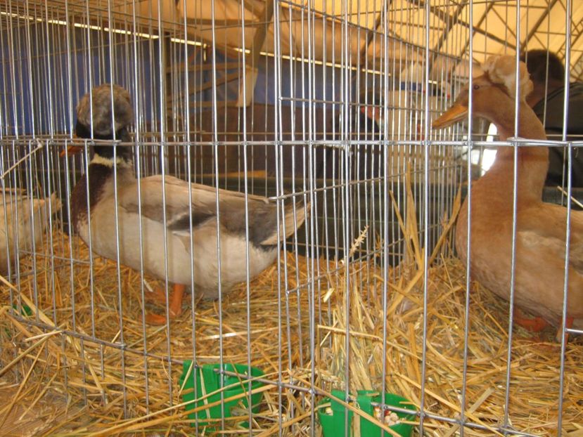  - EXPO Ploiesti Ianuarie 2022