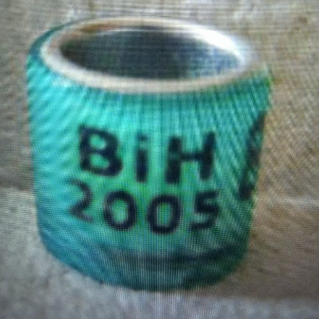 2005-BOSNIA - Bosnia