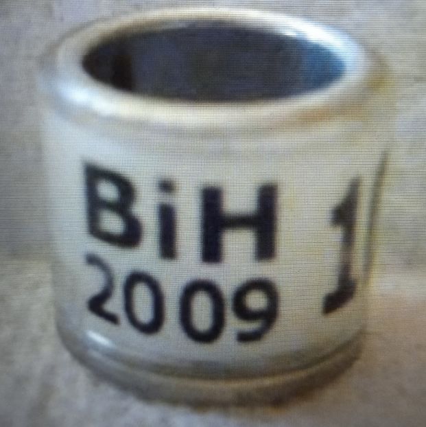 2009-BOSNIA - Bosnia