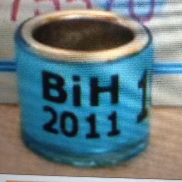 2011-BOSNIA - Bosnia