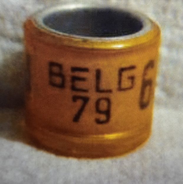 1979-BELGIA - Belgia