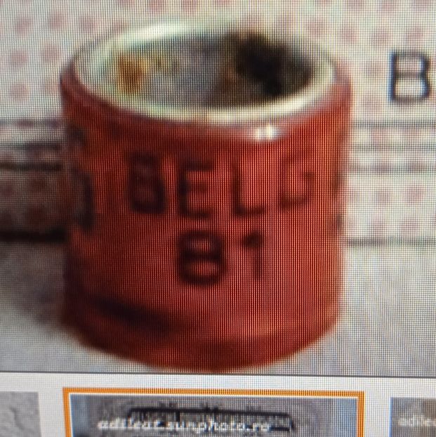 1981-BELGIA - Belgia