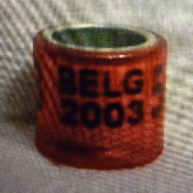 2003-BELGIA - Belgia