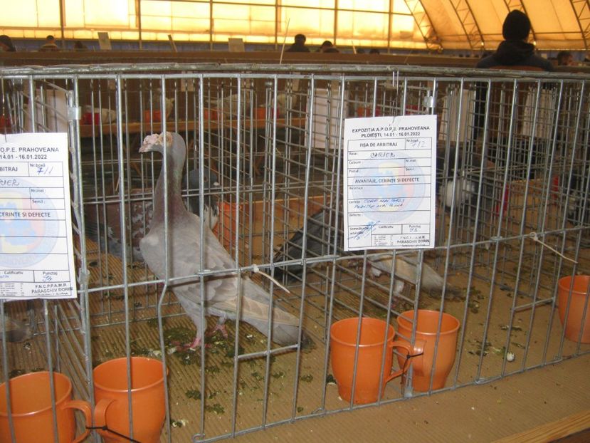  - EXPO Ploiesti Ianuarie 2022