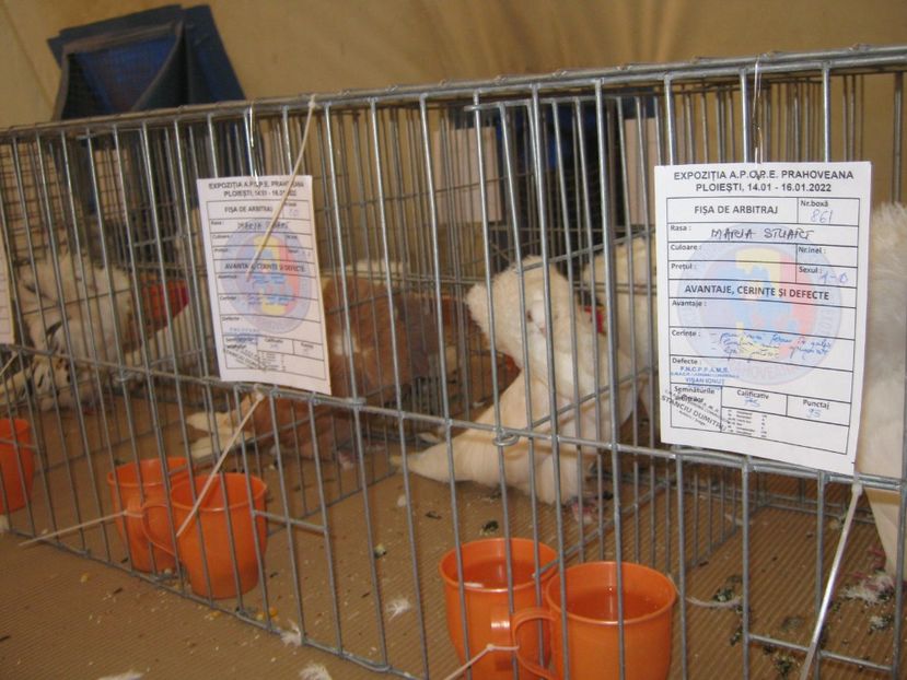  - EXPO Ploiesti Ianuarie 2022