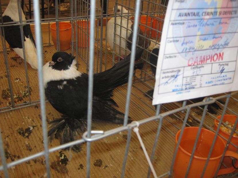  - EXPO Ploiesti Ianuarie 2022