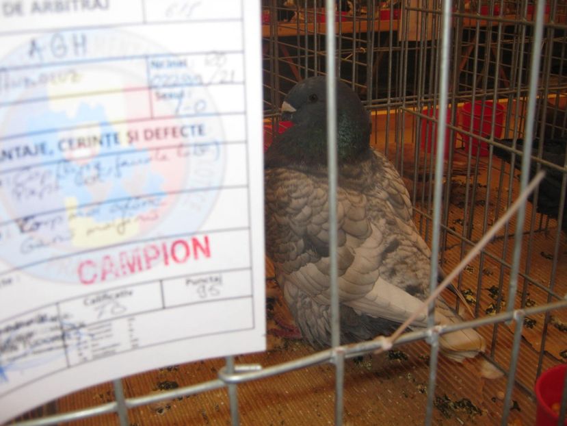  - EXPO Ploiesti Ianuarie 2022