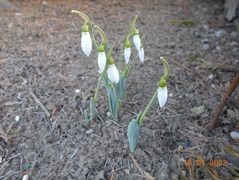  - 02 Iarna 2021-2022