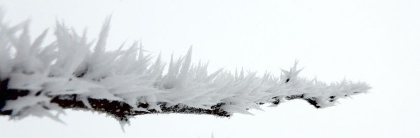 04chiciuraTZ41 - Magia iernii