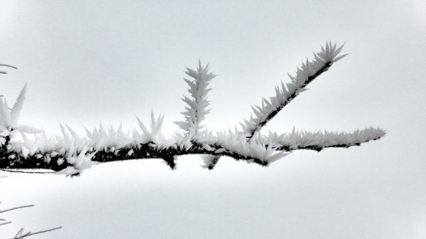 22chiciuraTZ41 - Magia iernii