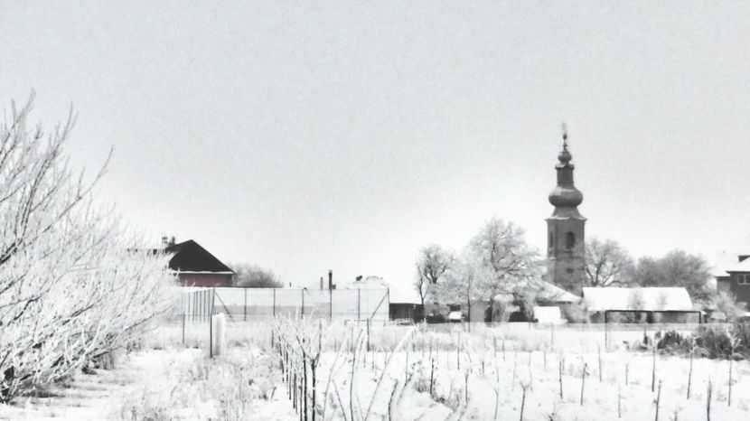 23chiciuraTZ41 - Magia iernii