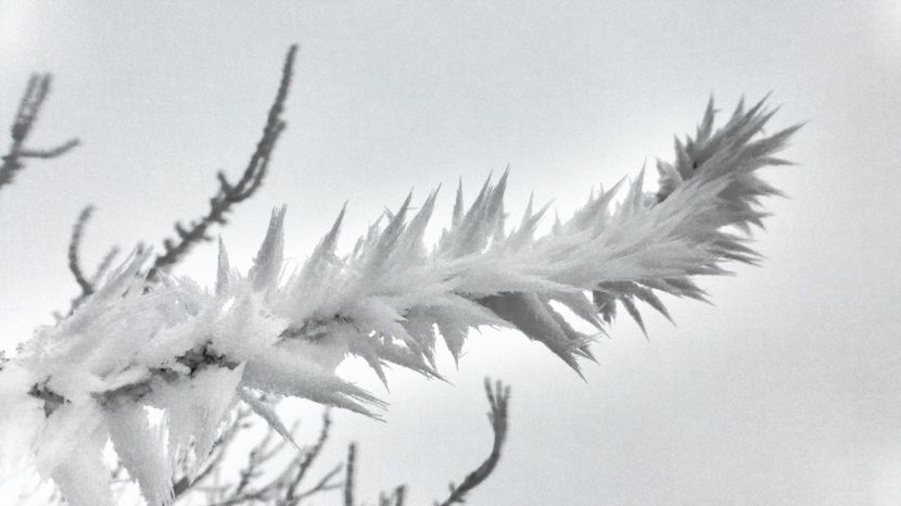 32chiciuraTZ41 - Magia iernii