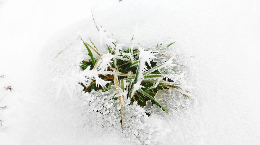 34chiciuraTZ41 - Magia iernii