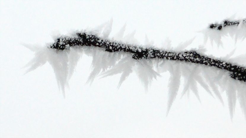 39chiciuraTZ41 - Magia iernii