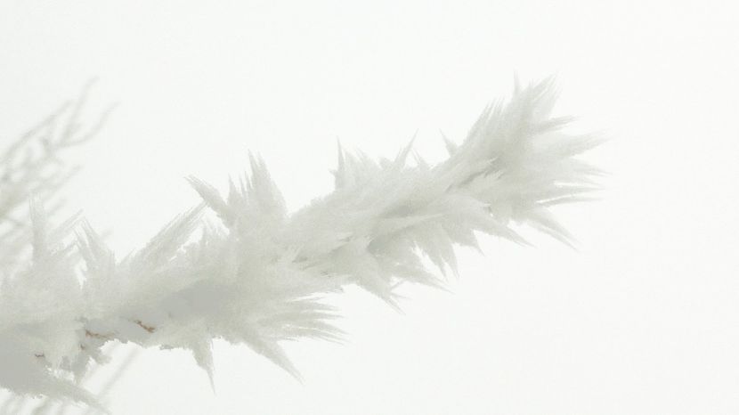 47chiciuraTZ41 - Magia iernii