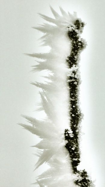 48chiciuraTZ41 - Magia iernii