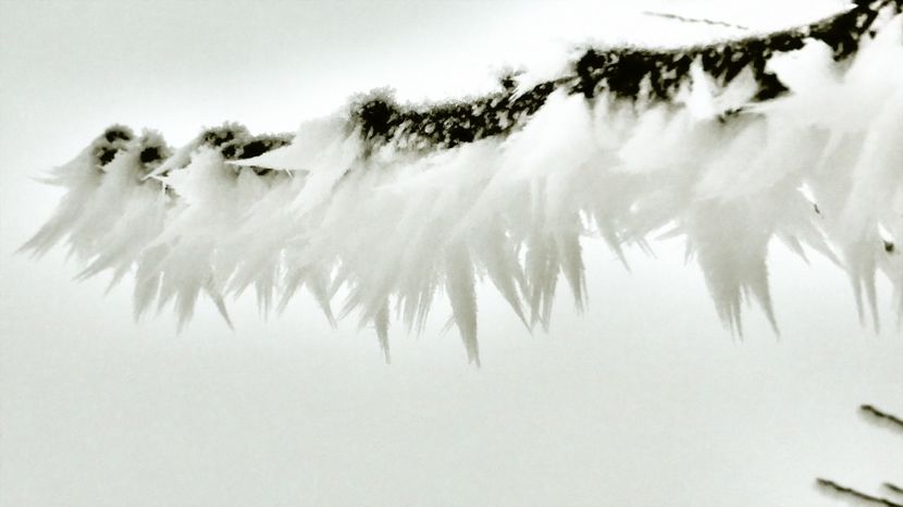 49chiciuraTZ41 - Magia iernii