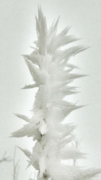 51chiciuraTZ41 - Magia iernii