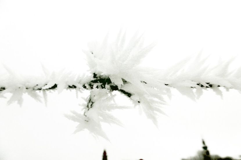 61chiciuraTZ41 - Magia iernii