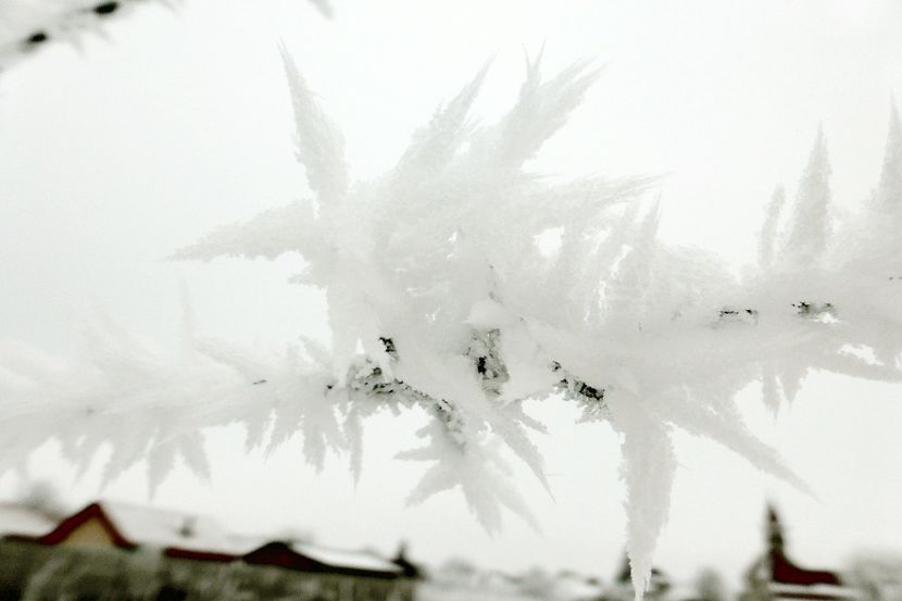 62chiciuraTZ41 - Magia iernii